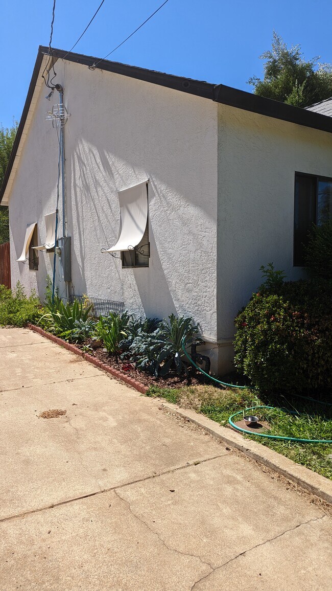 Patio lateral y entrada para vehículos - 2214 Waldon St