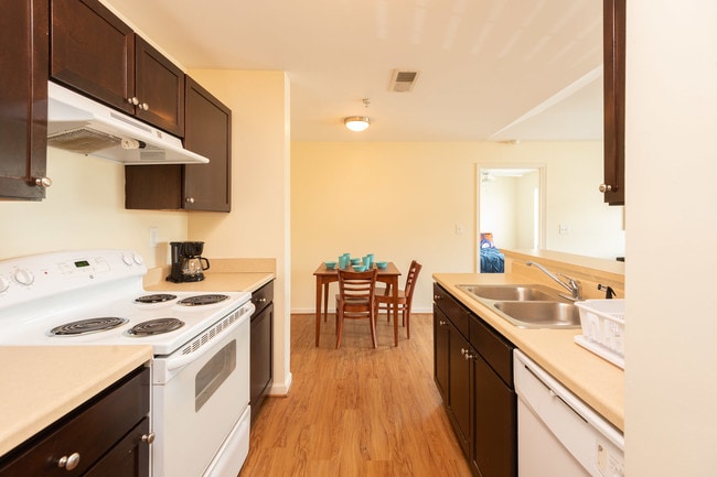 Shared Kitchen and Dining Area - The Apex on University