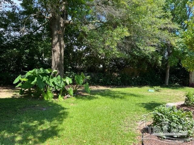Building Photo - 5565 San Gabriel Dr