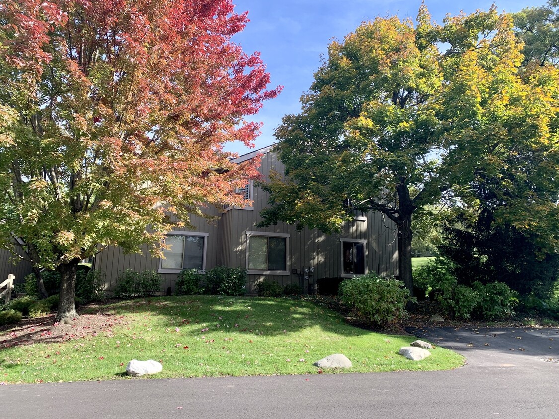 Primary Photo - 275 Hickory Ln