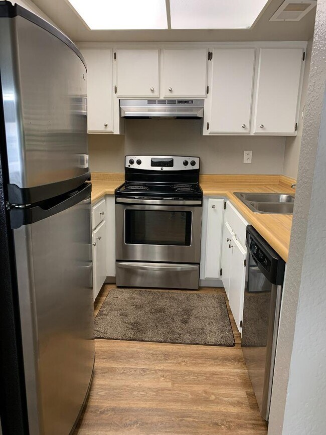 Building Photo - 605 San Conrado Terrace