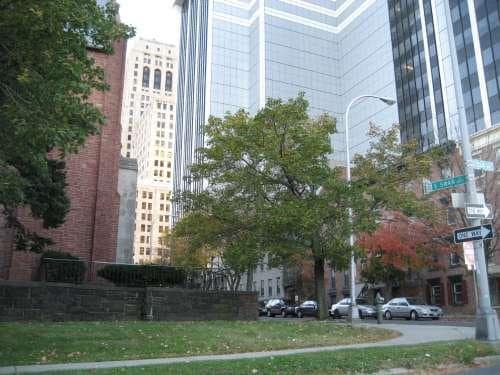 Primary Photo - 56 S Swan St