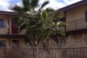 court yard - 8710 Old County Dr
