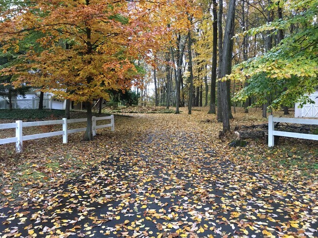 Private driveway - 6924 Upper York Rd