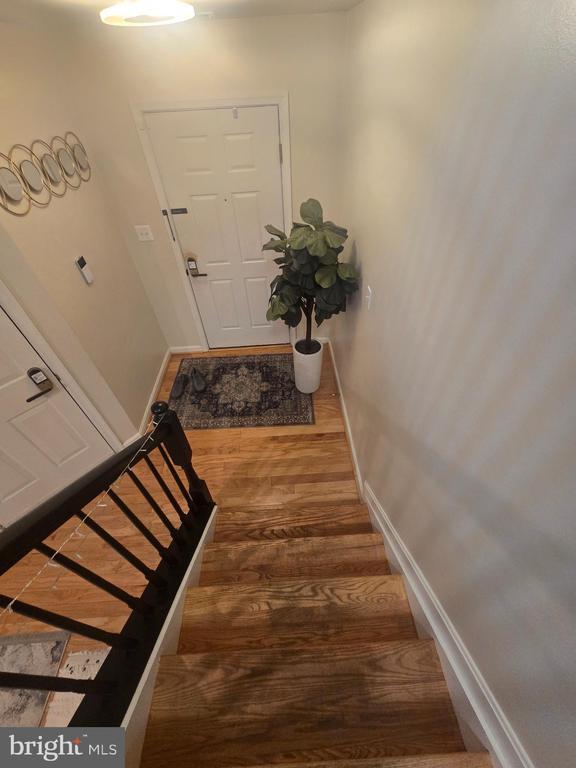 Building Photo - 11044 Birchtree Ln