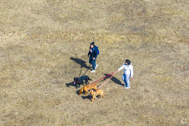 Dixmoor Playfield is a great destination for pet owners.