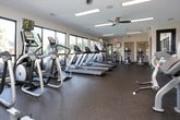 This single-floor fitness center is designed to support a full range of workout routines in a bright, open environment. Large windows line the walls, flooding the space with natural light and offering views of the surrounding landscaping and an outdoor pool area — a motivating backdrop for cardio sessions. Matrix-brand treadmills are positioned directly in front of the windows, allowing users to enjoy the outdoor scenery while exercising. The cardio section is further equipped with elliptical trainers and upright stationary bikes, providing diverse aerobic options. On the strength-training side, the facility includes a well-stocked dumbbell rack and multiple selectorized resistance machines for targeted muscle training. Durable rubber flooring covers the entire workout area, offering both safety and comfort underfoot. Overhead, ceiling fans and recessed lighting with warm-toned accent panels ensure a comfortable and well-lit atmosphere throughout the day. A wall-mounted television and a large analog clock add functional touches to the space. The fitness center is accessible via multiple entry points, including a glass-panel door that connects to the outdoor area, seamlessly blending indoor and outdoor amenities.