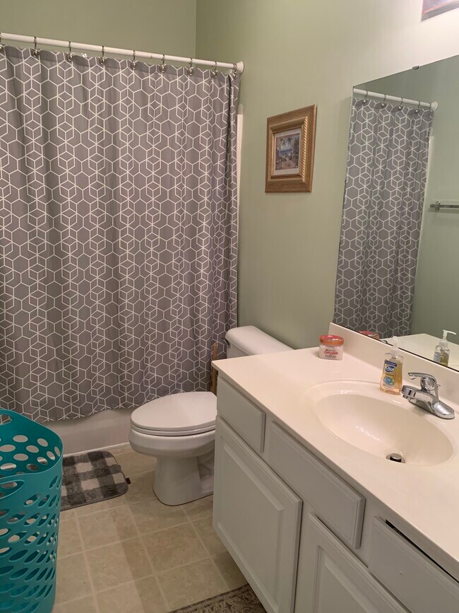 Hallway bathroom - 100 Fountain Pointe Ln