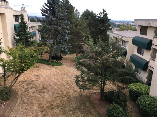 View from Balcony - 15249 Sunwood Blvd