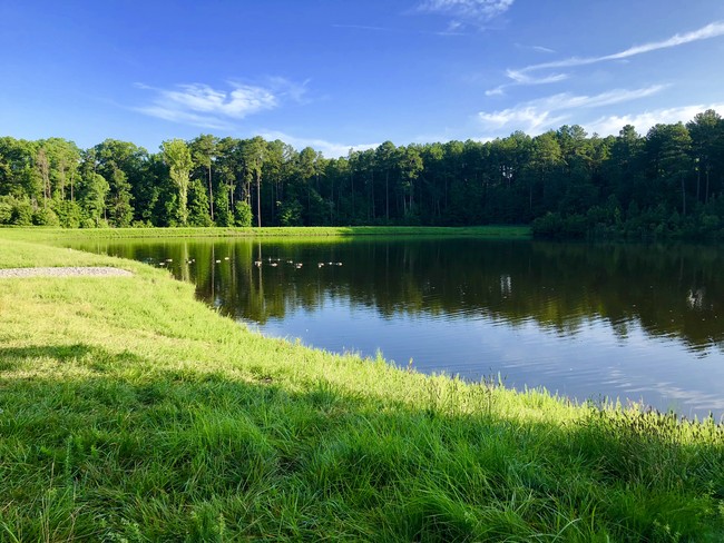 Stratford Lakes Durham