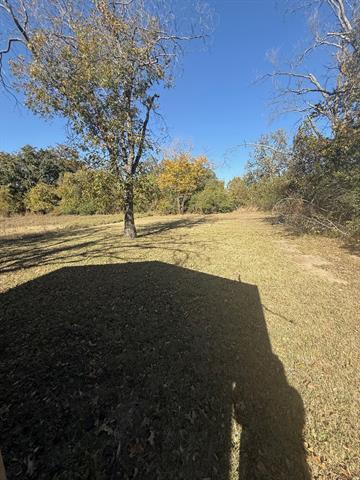 Foto del edificio - 1711 Groesbeck St