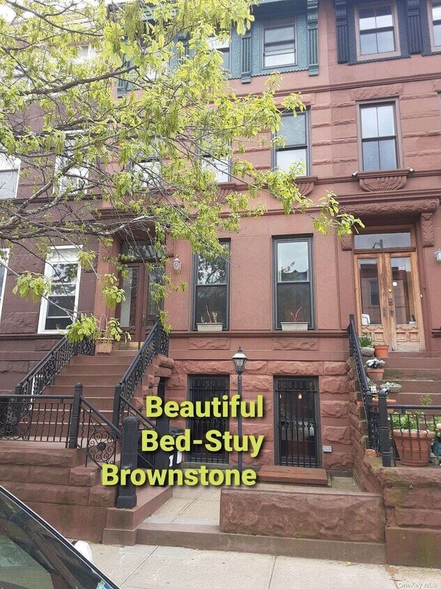 Primary Photo - 384 MacDonough St