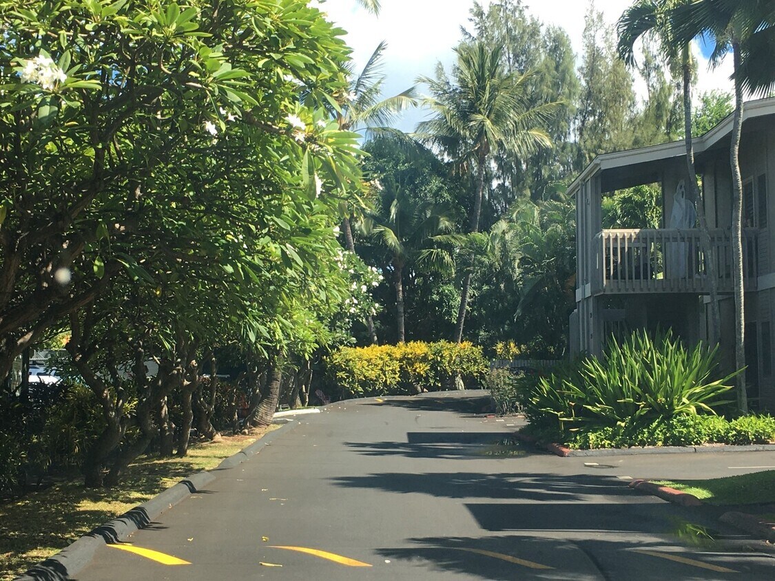 Building Photo - Pohailani 2 Bedroom Available September 5th!
