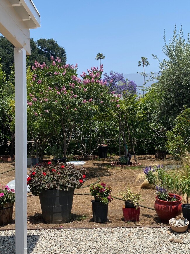 Vista al jardín - 1973 El Sereno Ave