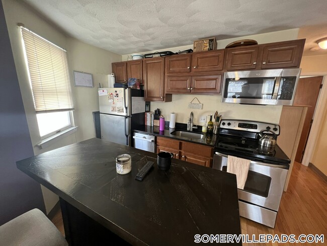 Building Photo - 217 Holland St