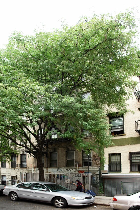 Building Photo - 221 Henry St
