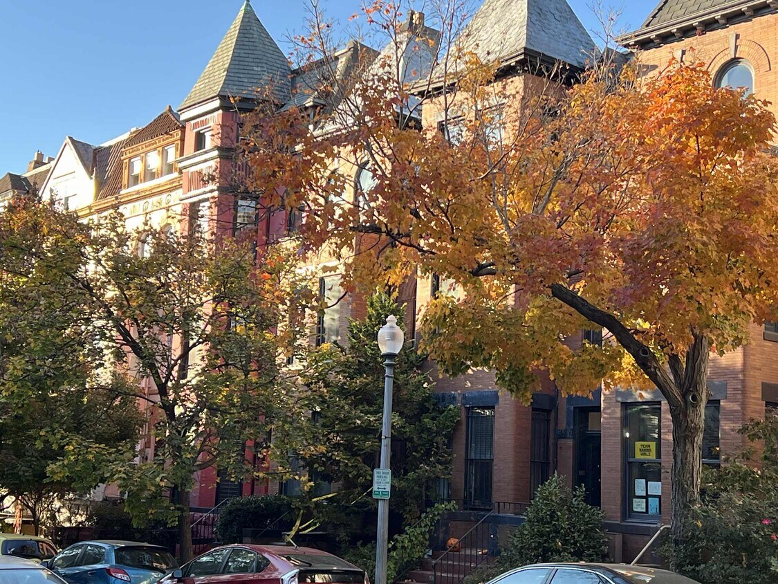 Casa adosada delantera - 1861 Mintwood Pl NW