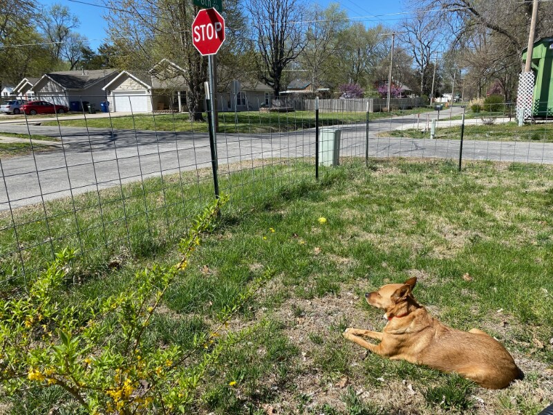 Foto del edificio - 246 N 8th St