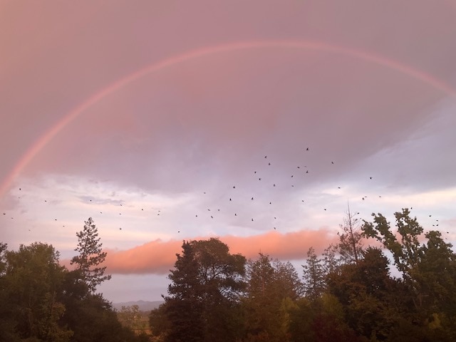 Atardecer afortunado - 1485 Timberhill Rd