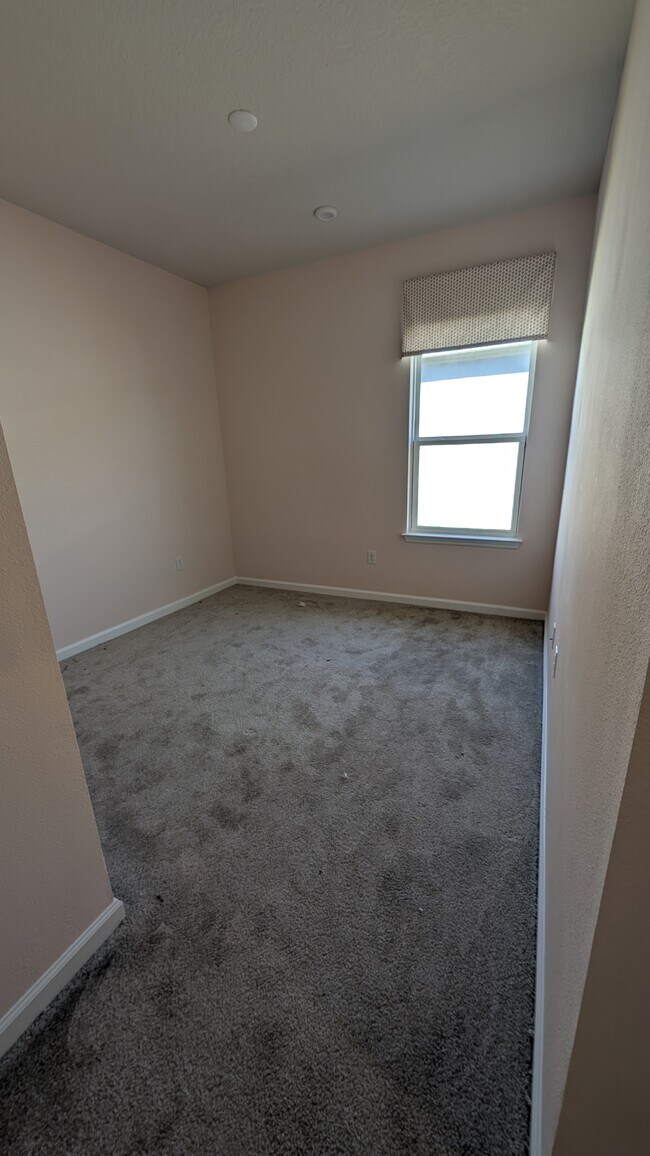 Foto del edificio - 2467 White Ladyfish Rd