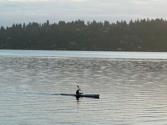 Building Photo - Lake Front House Seward Park