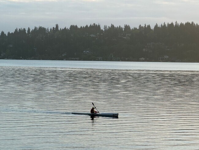Foto del edificio - Lake Front House Seward Park
