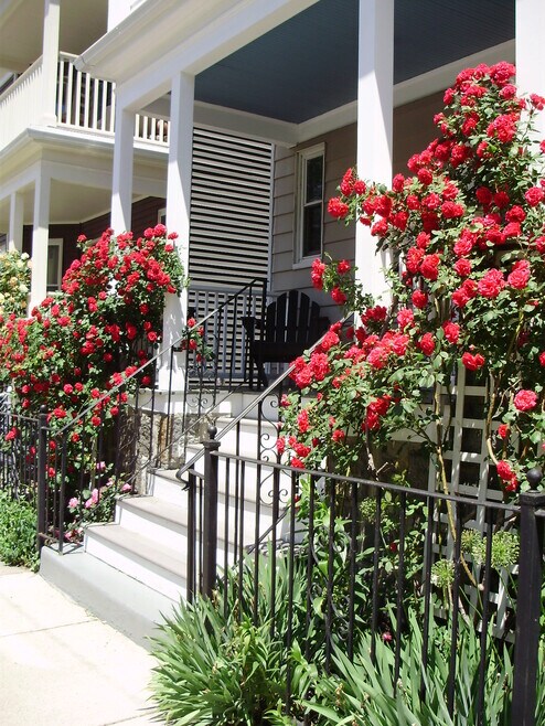 Building Photo - 38 Saint Margaret St