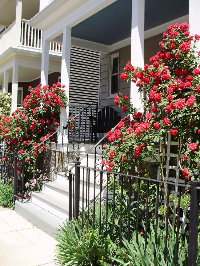 Photo - 38 Saint Margaret St Apartments