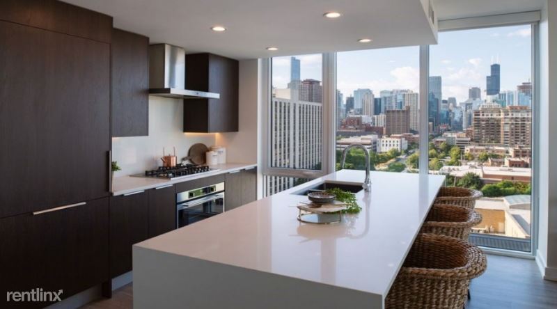 Foto principal - 2 br, 2 bath Apartment - 1040 N Wells St