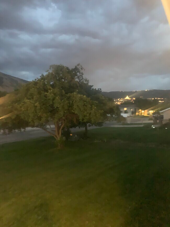 Foto del edificio - 12774 Southwillow Dr