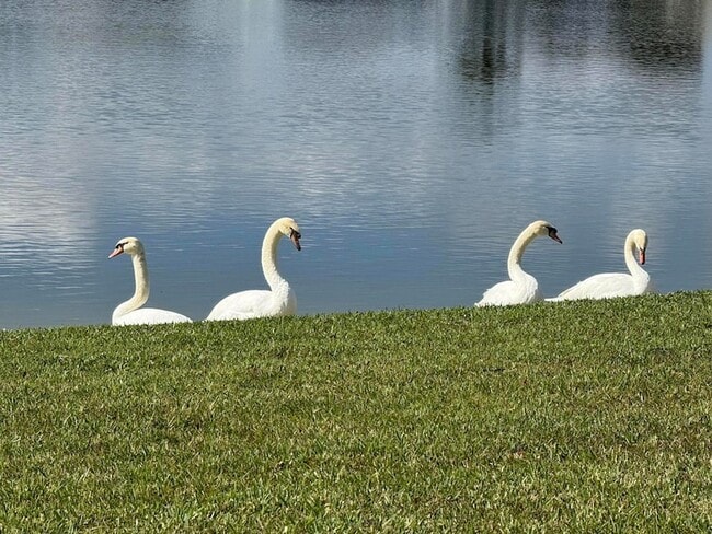 Foto del edificio - 8913 SW Chevy Cir