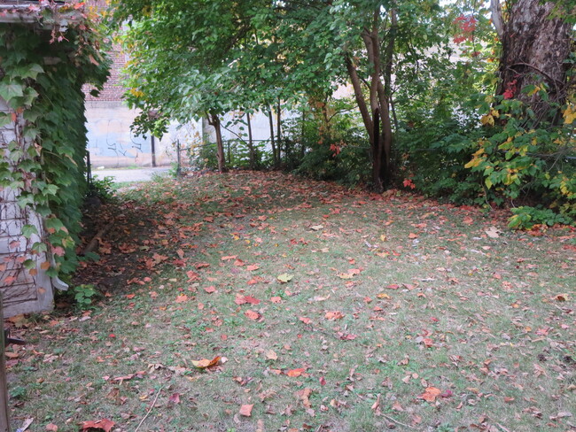 Back yard. - 204 S 6th St