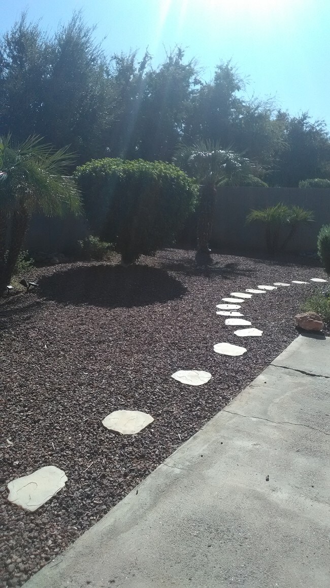 Patio trasero - 1671 N Garrett Dr