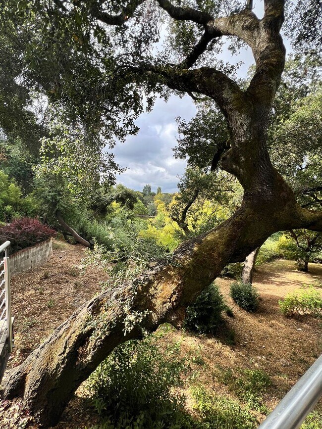 Foto del edificio - Contemporary Napa Loft Retreat