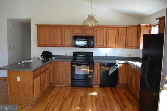 Building Photo - 538 Cuckoo's Nest Dr
