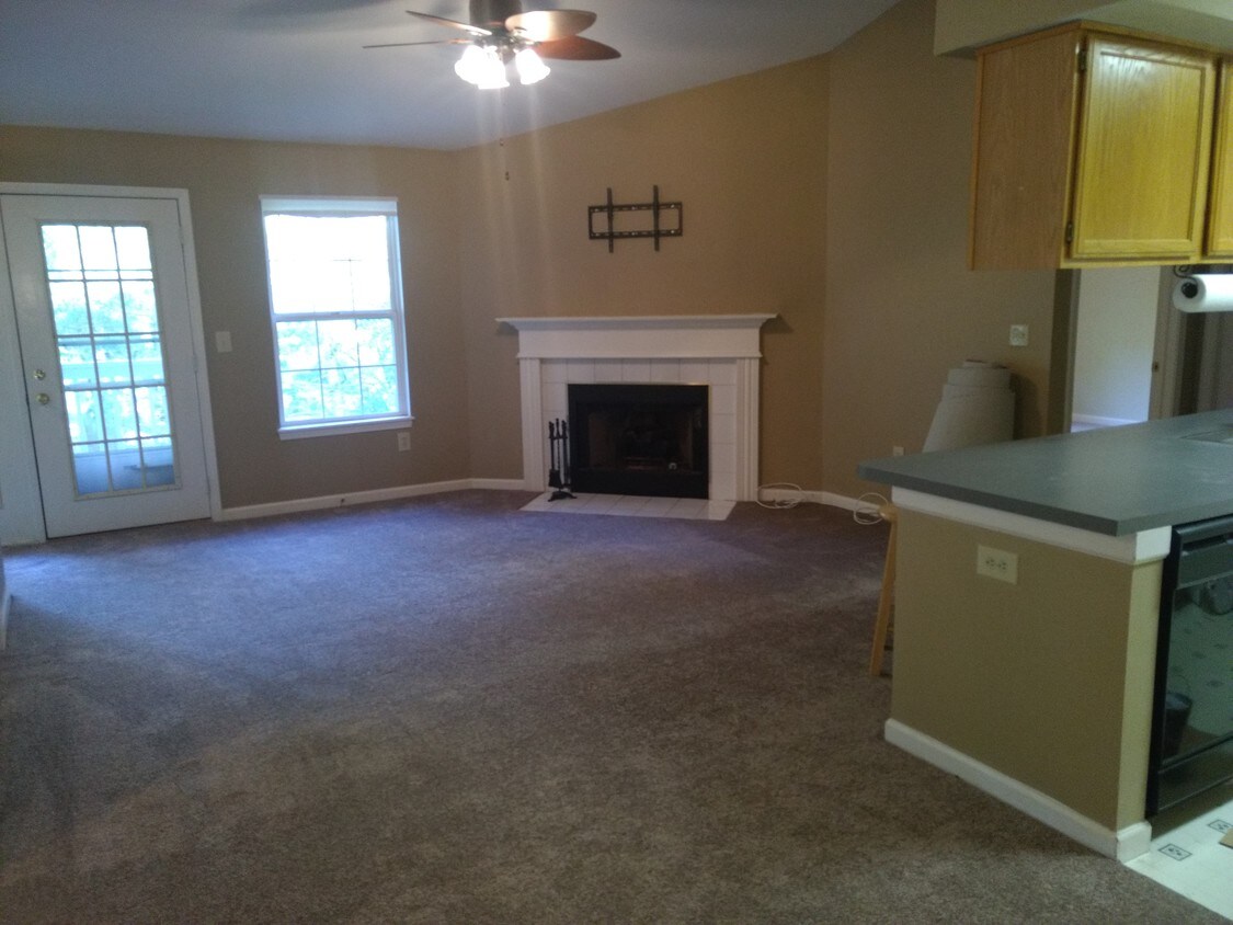 Living Room Gas FP - 22537 Lenox Dr