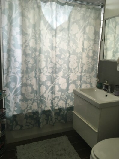 bathroom - 209 Greene St