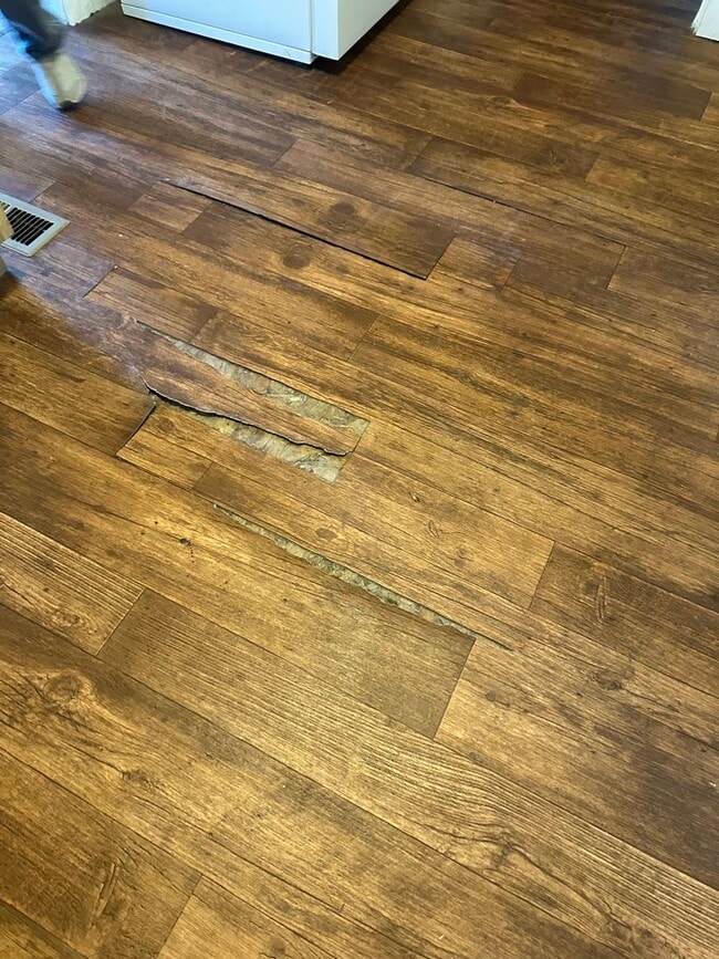 Building Photo - 2 bedrooms, 1 bath on large lot with garage