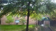 Foto principal - 903 9th Ave