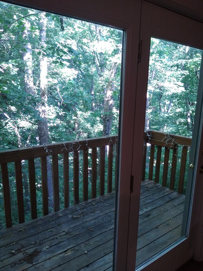 Foto del edificio - 3213 Belle Meade Dr