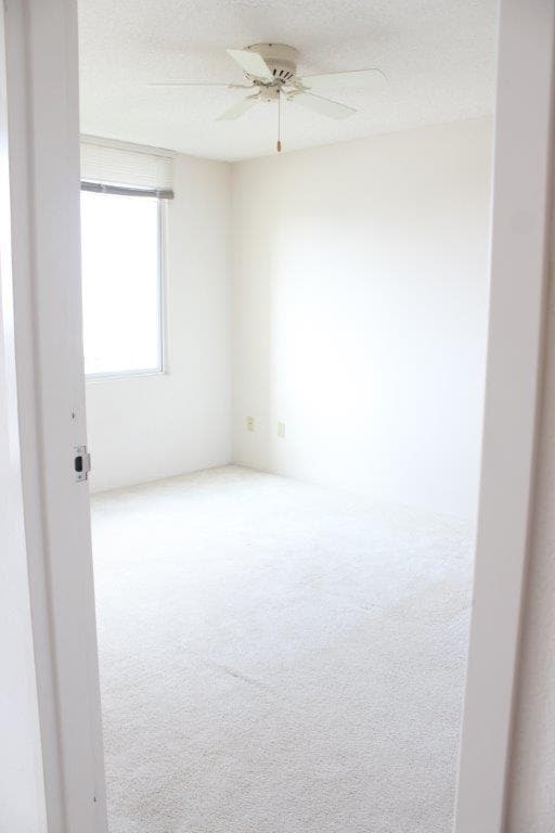 Building Photo - 215 N King St