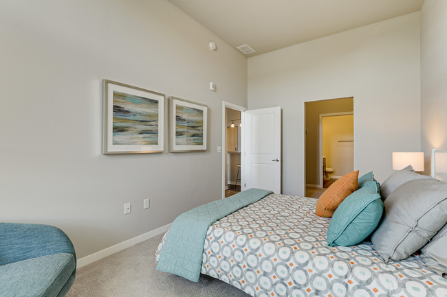 Suite de una habitación - Venue