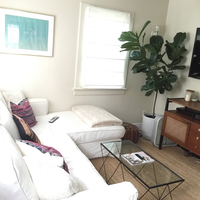 Large living room with tons of light - 912 1/2 California Ave