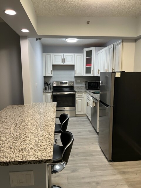 Brand new renovated kitchen including granite countertop, kitchen cabinetry, stainless steel apps - 440 N Wabash Ave