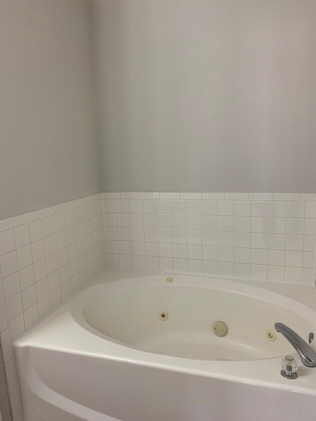 Master bathroom with jacuzzi tub and stand up shower. - 9708 Lake Pointe Ct Unit 304
