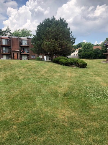 Back yard Space - 700 Court of Birch