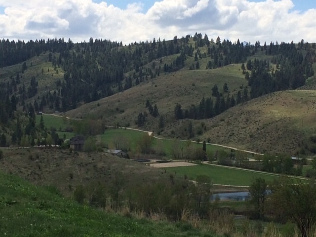 Building Photo - Custom cedar 3 bed 2.5 bath 83.46 acres, o...
