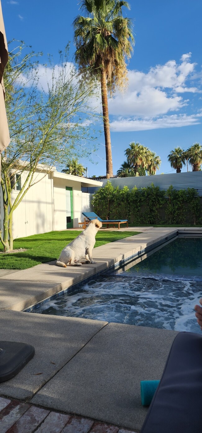 Building Photo - 37555 Palo Verde Dr
