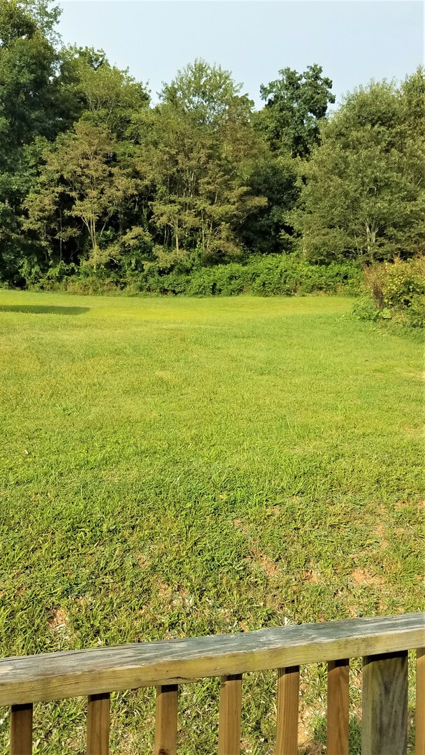 Foto del edificio - 1617 Nettle Knob Rd