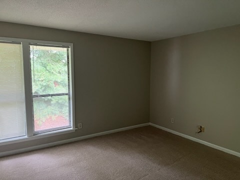 Building Photo - 203 Driftwood Ln